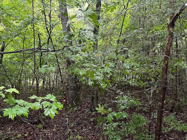 8 Saw Mill Rd, Palmer, TN 37365 - photo 6