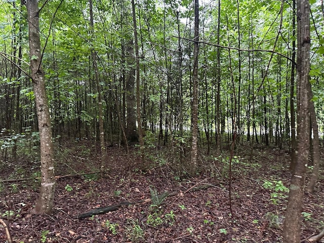 8 Saw Mill Rd, Palmer, TN 37365 - photo 2