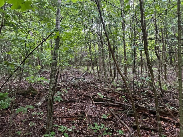 8 Saw Mill Rd, Palmer, TN 37365 - photo 5