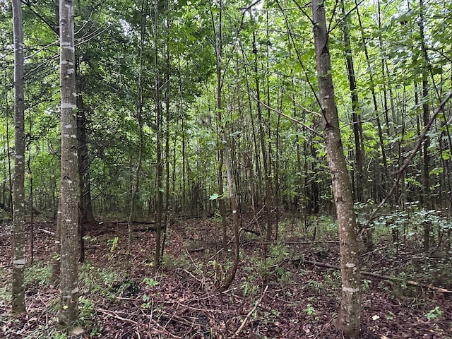 8 Saw Mill Rd, Palmer, TN 37365 - photo 10