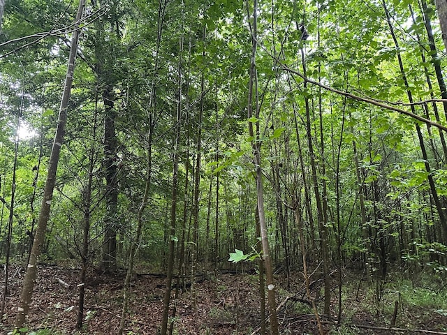 8 Saw Mill Rd, Palmer, TN 37365 - photo 13