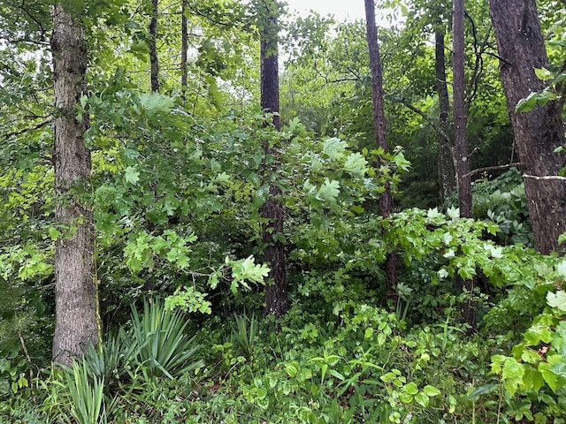 8 Saw Mill Rd, Palmer, TN 37365 - photo 15
