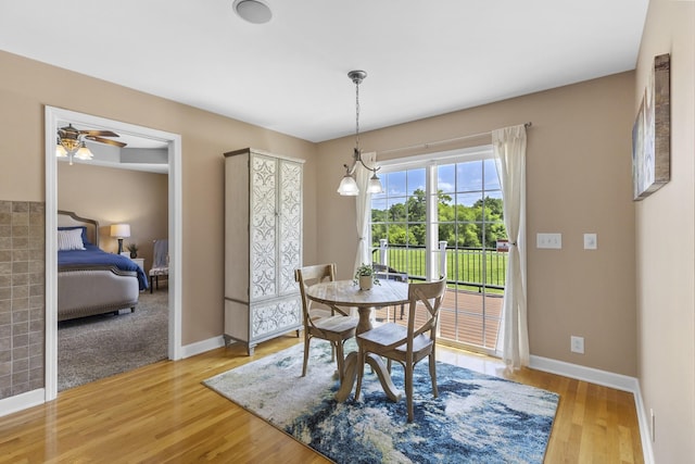 802 Ronald Dr, Murfreesboro, TN 37129 - photo 10