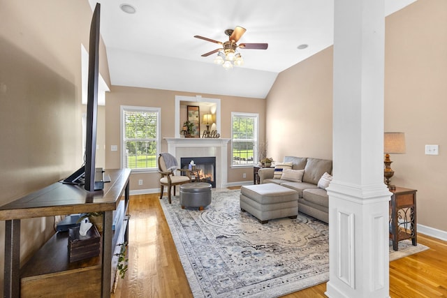 802 Ronald Dr, Murfreesboro, TN 37129 - photo 13