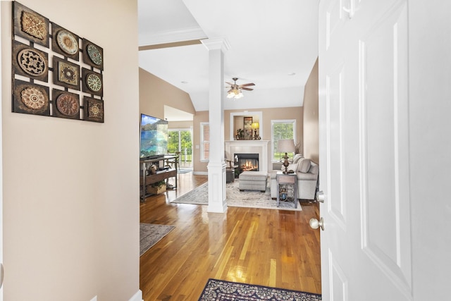 802 Ronald Dr, Murfreesboro, TN 37129 - photo 7