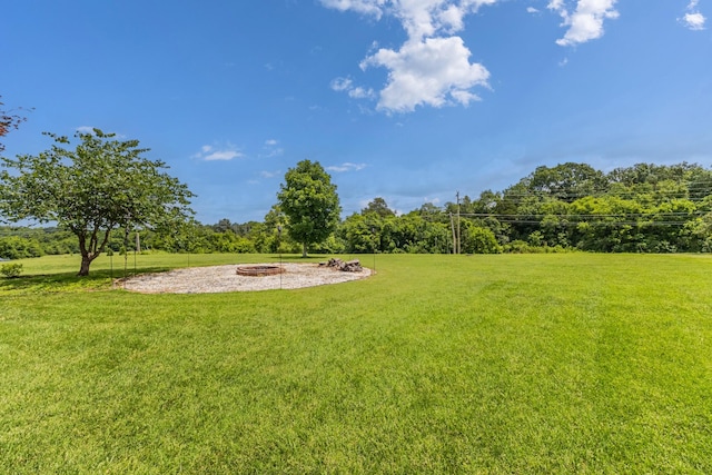 802 Ronald Dr, Murfreesboro, TN 37129 - photo 44
