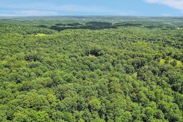 4645 Frankie Rd, Indian Mound, TN 37079