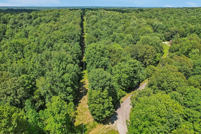 4645 Frankie Rd, Indian Mound, TN 37079