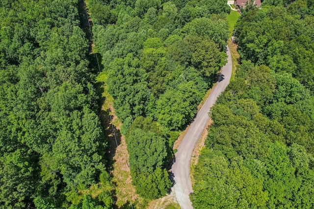 4645 Frankie Rd, Indian Mound, TN 37079