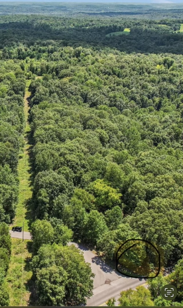 4645 Frankie Rd, Indian Mound, TN 37079