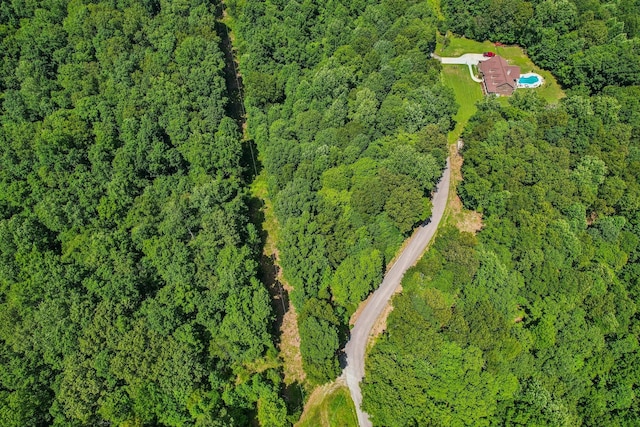 4645 Frankie Rd, Indian Mound, TN 37079