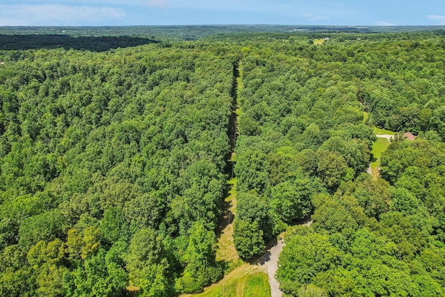 4645 Frankie Rd, Indian Mound, TN 37079