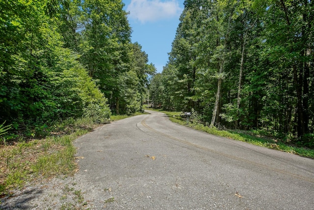 4645 Frankie Rd, Indian Mound, TN 37079