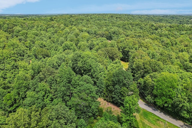 4645 Frankie Rd, Indian Mound, TN 37079