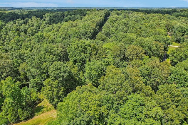 4645 Frankie Rd, Indian Mound, TN 37079