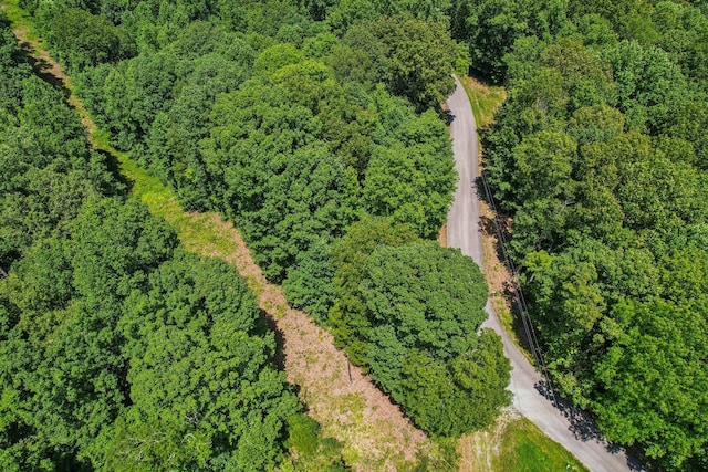 4645 Frankie Rd, Indian Mound, TN 37079
