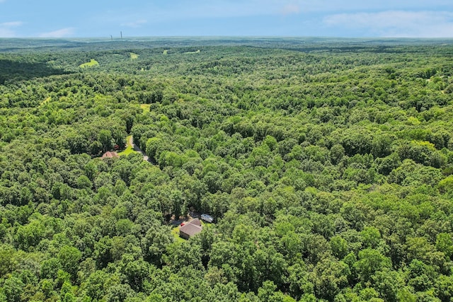 4645 Frankie Rd, Indian Mound, TN 37079