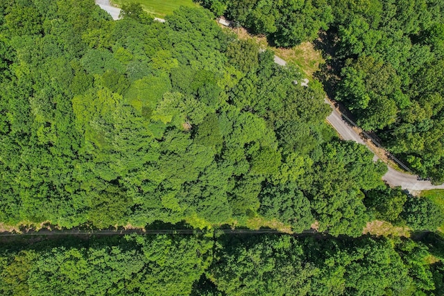 4645 Frankie Rd, Indian Mound, TN 37079