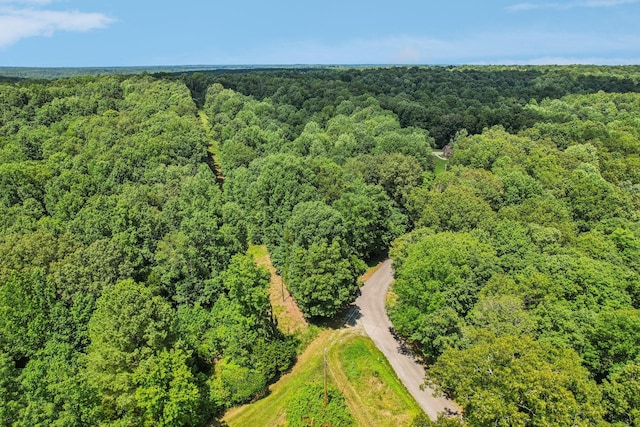 4645 Frankie Rd, Indian Mound, TN 37079