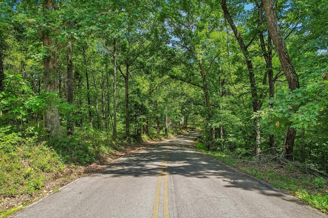 4645 Frankie Rd, Indian Mound, TN 37079