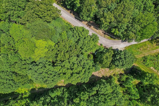 4645 Frankie Rd, Indian Mound, TN 37079