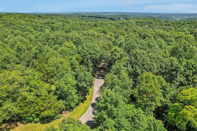 4645 Frankie Rd, Indian Mound, TN 37079