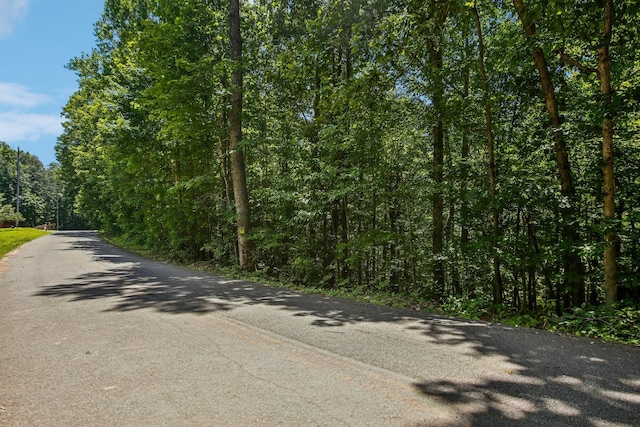 4645 Frankie Rd, Indian Mound, TN 37079