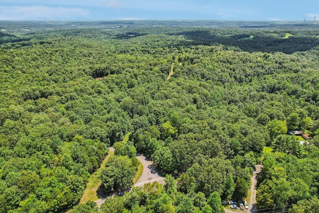 4645 Frankie Rd, Indian Mound, TN 37079