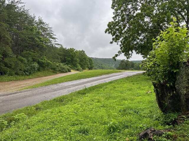 9 Saw Mill Rd, Palmer, TN 37365 - photo 13