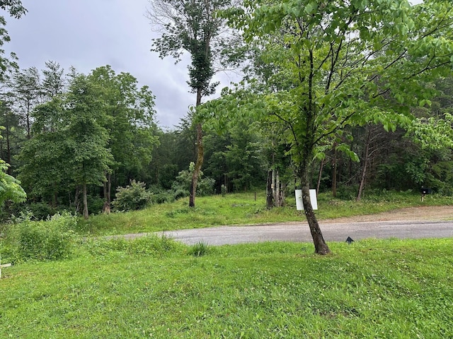 9 Saw Mill Rd, Palmer, TN 37365 - photo 3