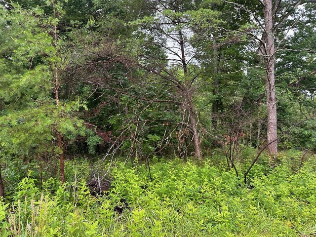9 Saw Mill Rd, Palmer, TN 37365 - photo 6