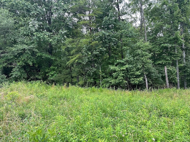 9 Saw Mill Rd, Palmer, TN 37365 - photo 2