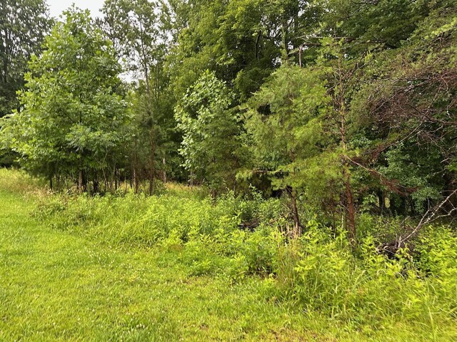 9 Saw Mill Rd, Palmer, TN 37365 - photo 5