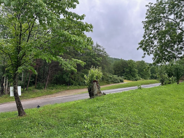 9 Saw Mill Rd, Palmer, TN 37365 - photo 4