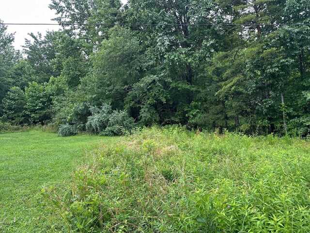 9 Saw Mill Rd, Palmer, TN 37365 - photo 10