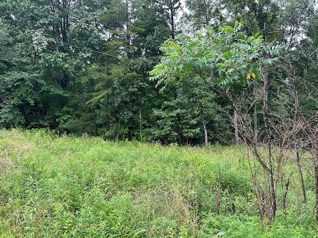 9 Saw Mill Rd, Palmer, TN 37365 - photo 8