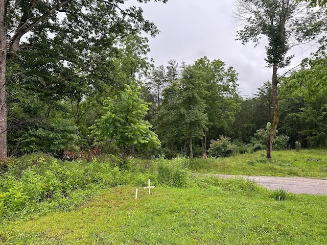 9 Saw Mill Rd, Palmer, TN 37365 - photo 11
