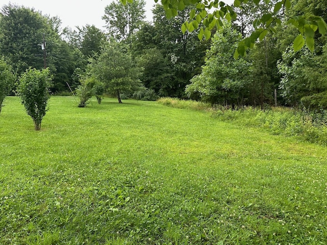 9 Saw Mill Rd, Palmer, TN 37365 - photo 1