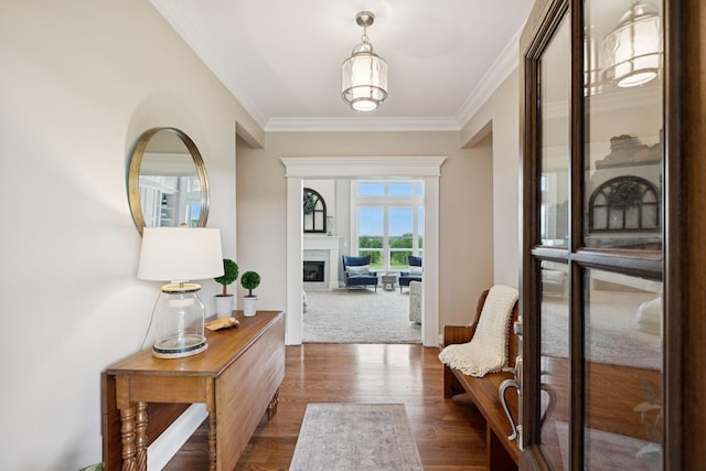 1731 Hudson Rd, Madison, TN 37115 - foyer entrance with ornamental molding, dark wood finished floors, and a fireplace