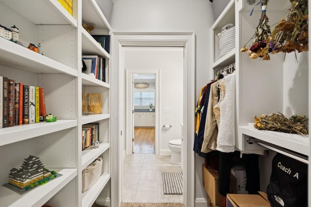 1731 Hudson Rd, Madison, TN 37115 - view of spacious closet