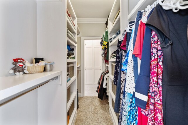 1731 Hudson Rd, Madison, TN 37115 - walk in closet featuring light carpet