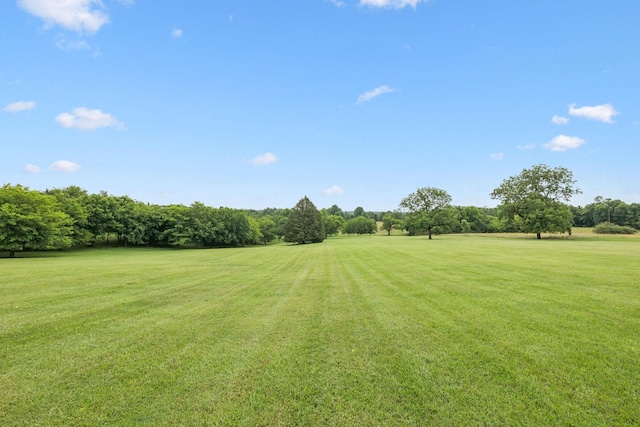 1731 Hudson Rd, Madison, TN 37115 - view of green lawn