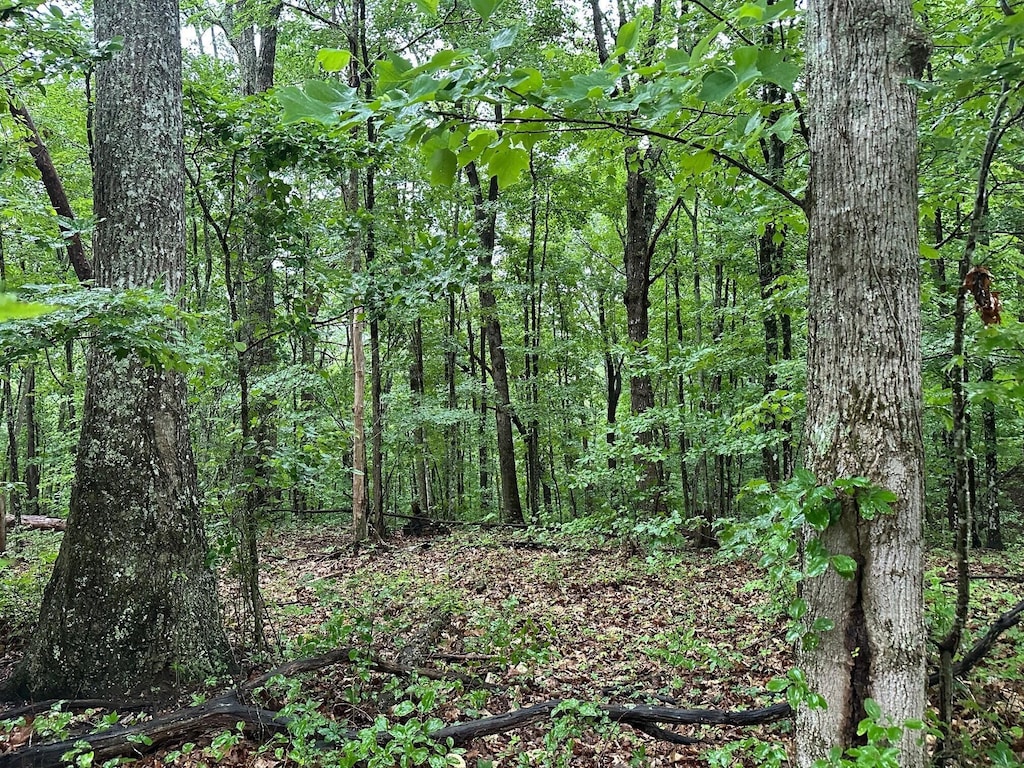 11 Mountain Top Dr, Palmer, TN 37365 - photo 1