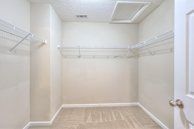 2039 Caladonia Way, Smyrna, TN 37167 - photo 24