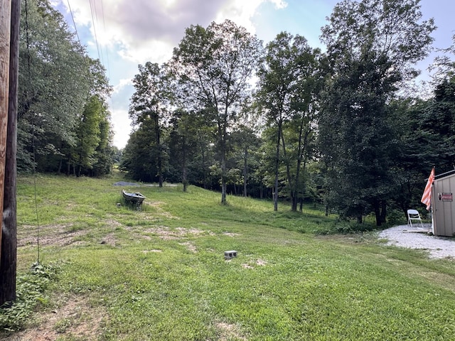 2030 Woods Valley Rd, Cumberland Furnace, TN 37051 - photo 39