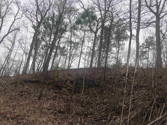 0 Breeze Pt, Savannah, TN 38372 - photo 3