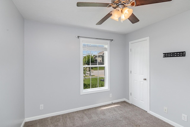 693 Sly Fox Dr, Clarksville, TN 37040 - photo 24