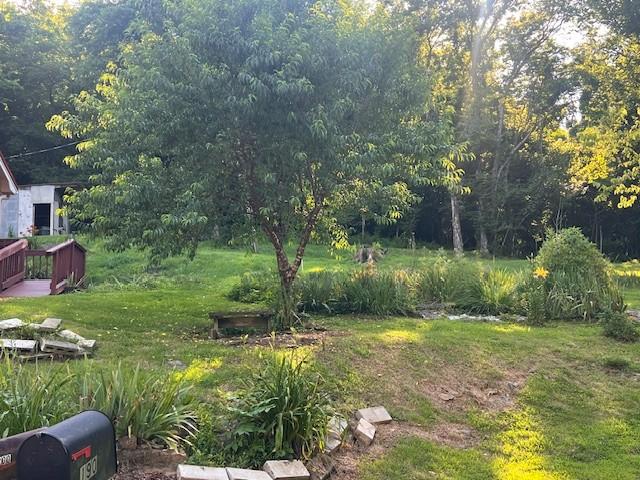190 Borden St, Gainesboro, TN 38562 - photo 3