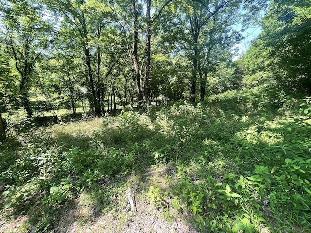 2400 Chicken Creek Rd, Pulaski, TN 38478