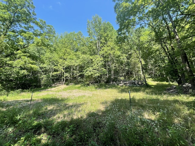 2400 Chicken Creek Rd, Pulaski, TN 38478
